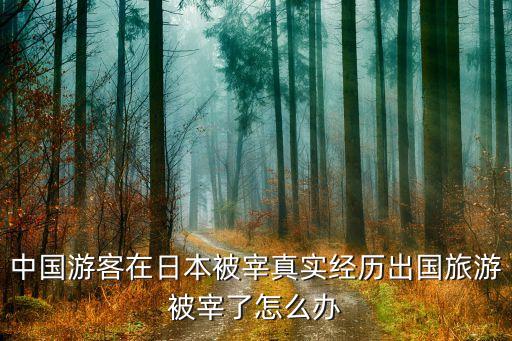 國外旅游被坑怎么辦，中國游客在日本被宰真實經歷出國旅游被宰了怎么辦...